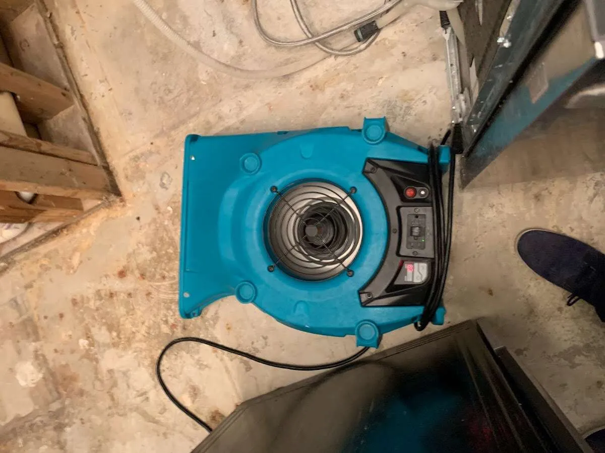 Air mover drying equipment for Mold Remediation & Removal in Bella Vista
